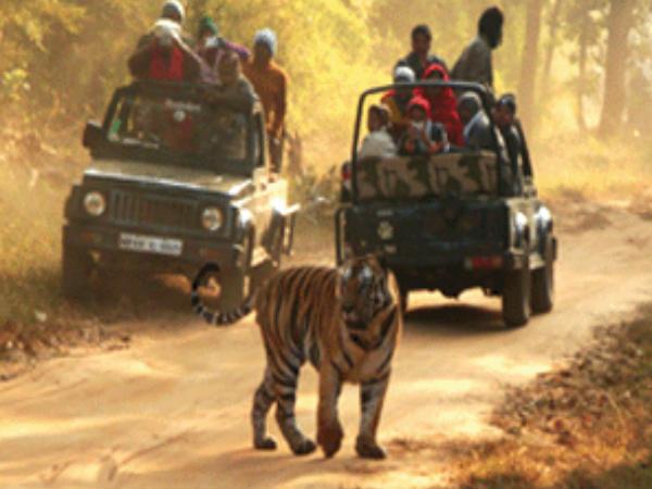 తెలంగాణ ఎత్తైన జలపాతం !