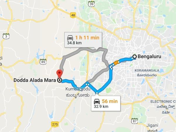 400 సంవత్సరాల వయస్సు