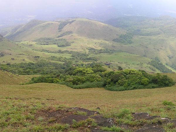 10.తడియండామోల్