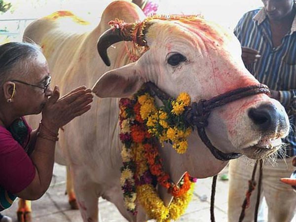 11. శివుడు గోవు చెవి నుంచి వచ్చింది ఇక్కడే