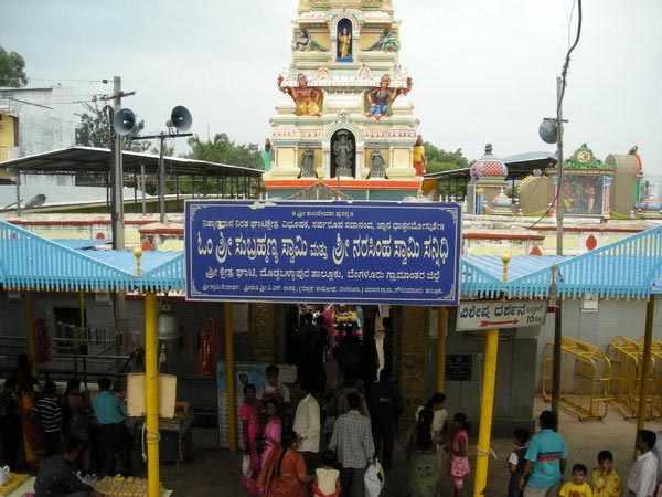 12. ఇంకా ఏమేమి చూడవచ్చు.