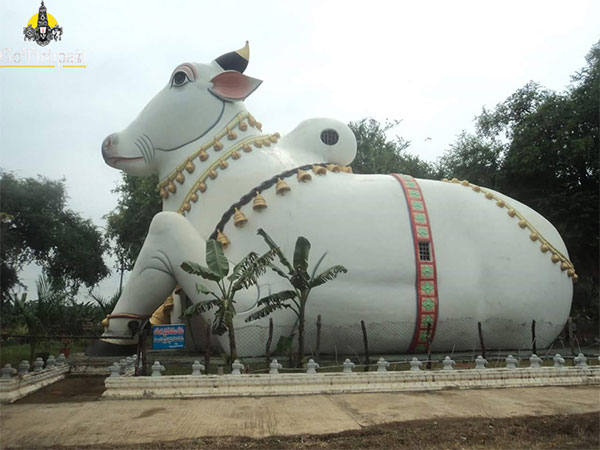 12. ఎక్కడ ఉంది.