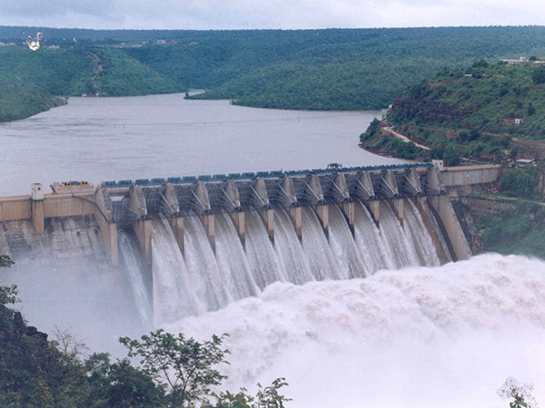 13. వెంబైకొట్టై
