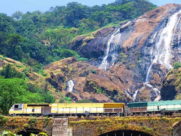 2. మొల్లెం