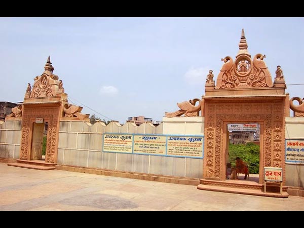 3. పక్షులు కూడా ఉండవు