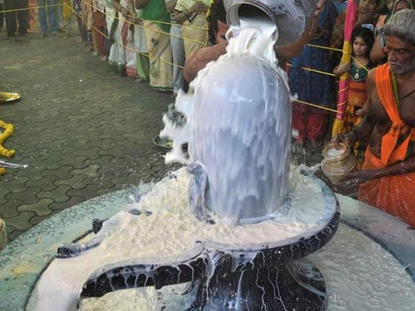 3.రాజుకు తెలియజేశాడు.