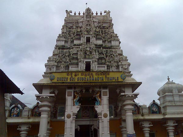 5.వాసుకికి తోడుగా