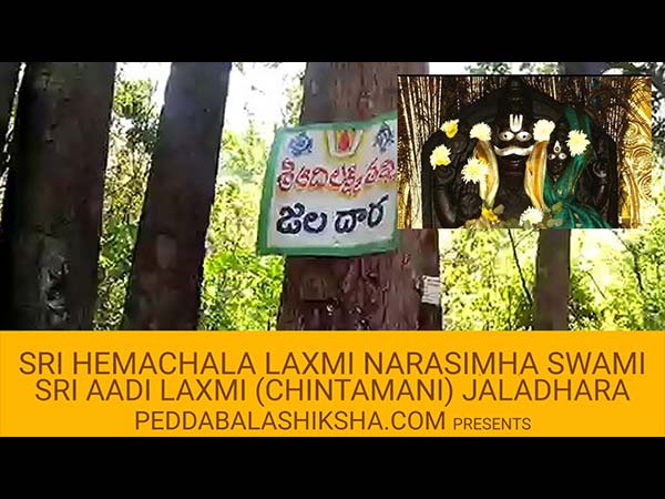 8. అన్ని కాలల్లో ఒకే విధంగా ప్రవహించే జలధార