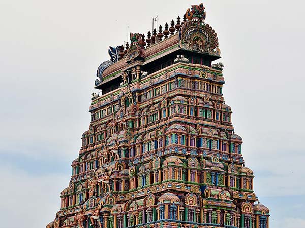 12. మాన దేహం నిర్మాణంతో ముడిపడి