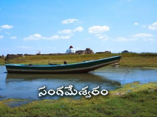 12. ప్రపంచంలో ఇదొక్కటే...