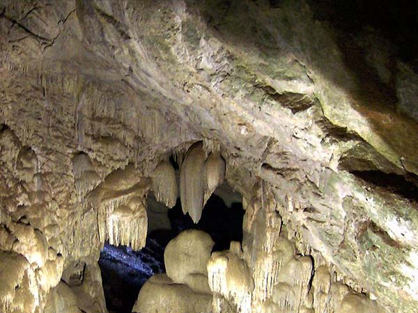 భారత దేశంలోని ఈ వింతలను చూశారా