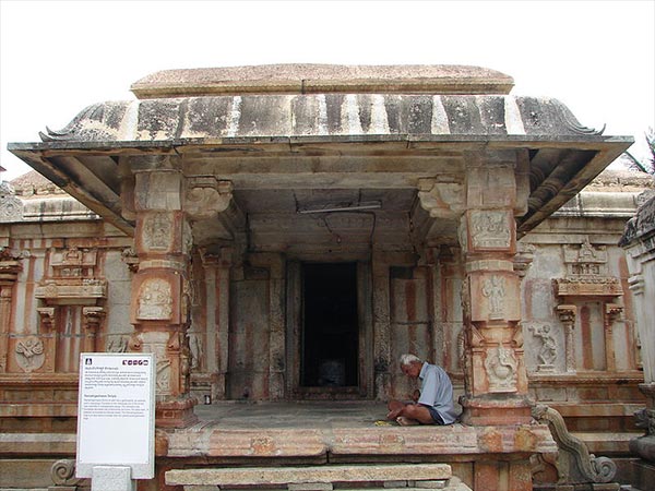 12. అవని