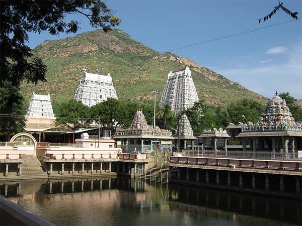 13. ఔషద మొక్కల ప్రభావం
