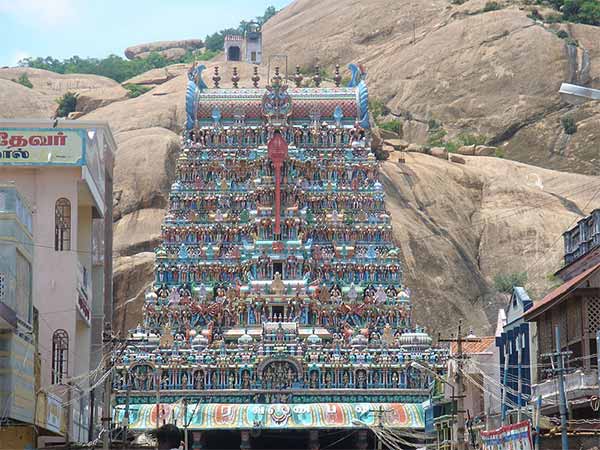 14. విమానం ద్వారా