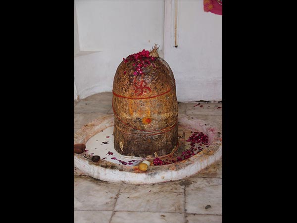 14. లింగం పై భాగంన రక్తం