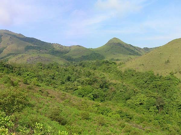 2. కూర్గ్