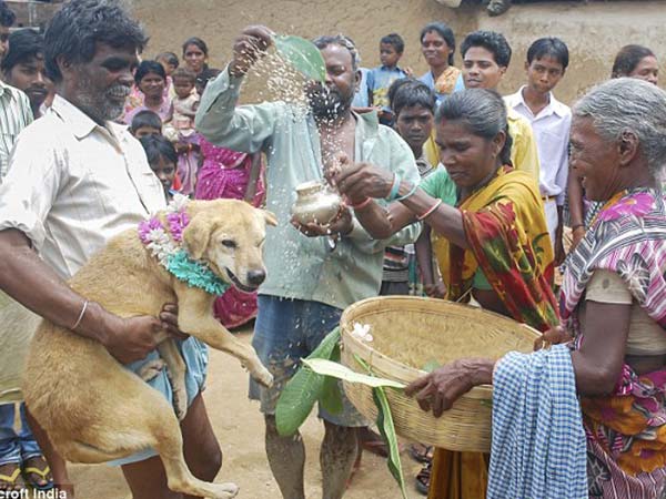 2. కామెడీ కాదు...