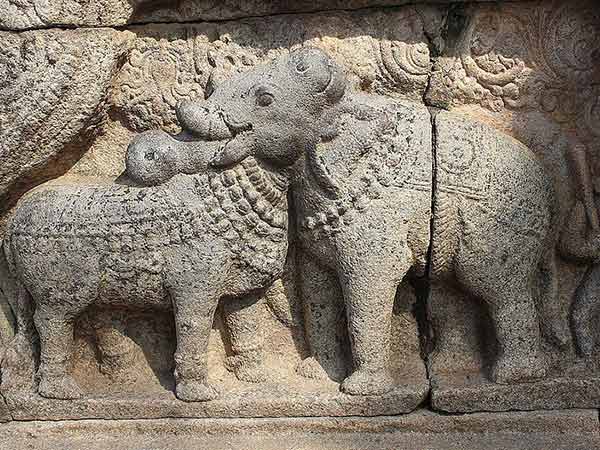 20 రెండు రథాలు