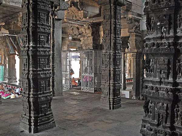 3. పాములను సృష్టించి