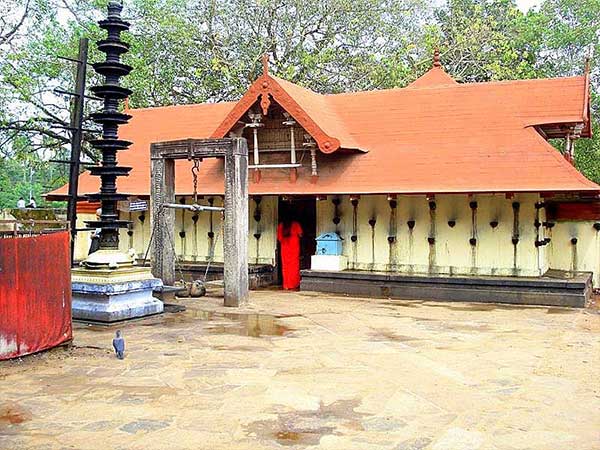 3. పాముల కలలు వస్తూ ఉంటే