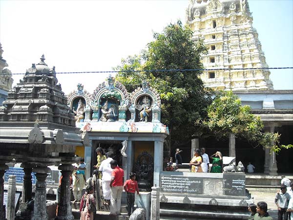 4. మామిడి చెట్టు కింద వెలిసిన దేవుడు