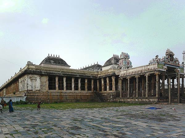 4. పులిని కూడా