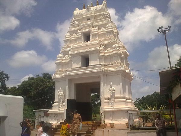 4.బాగా పాపులర్ అవుతోంది