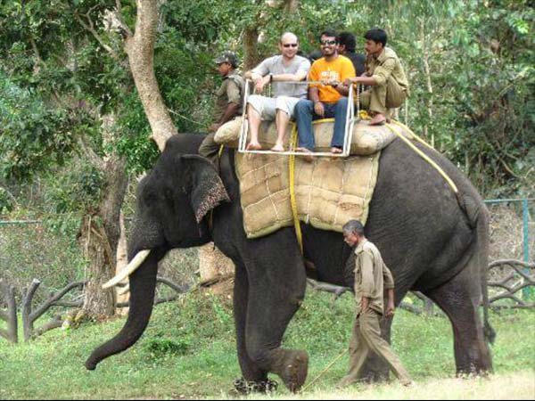 5.శివమొగ్గ...