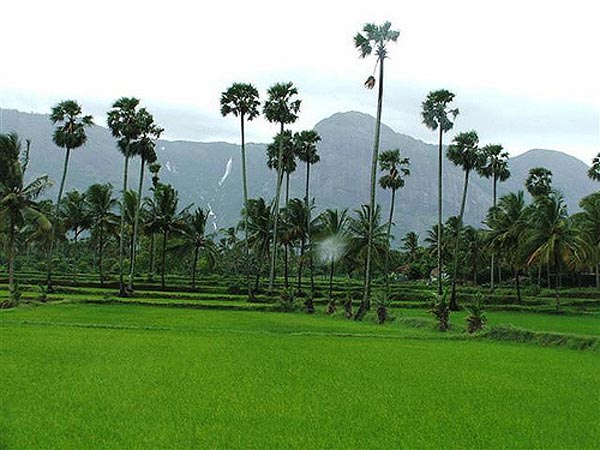 5. అనేక అభయారణ్యాలు