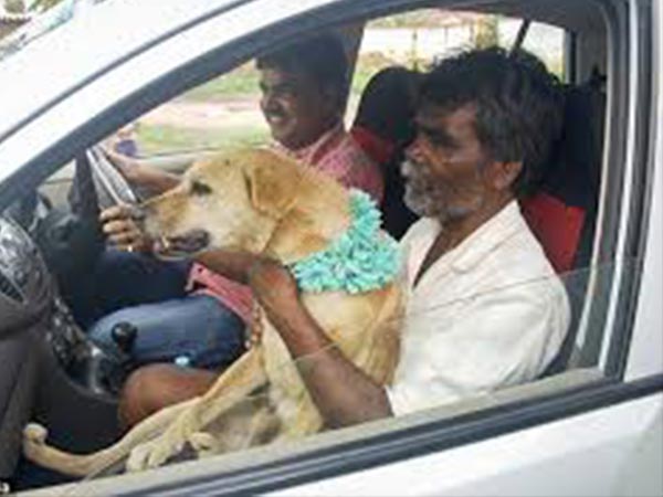 5. కారులో ఊరేగింపు....
