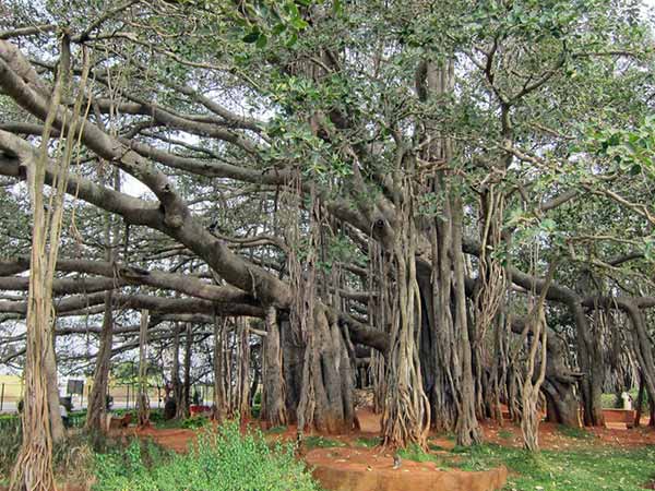 5.. అత్యంత ప్రశాంతమైనది...