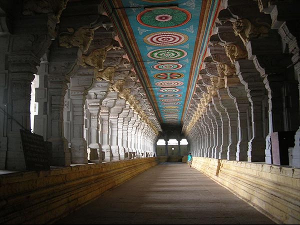 5. అనేక స్థంభాలు