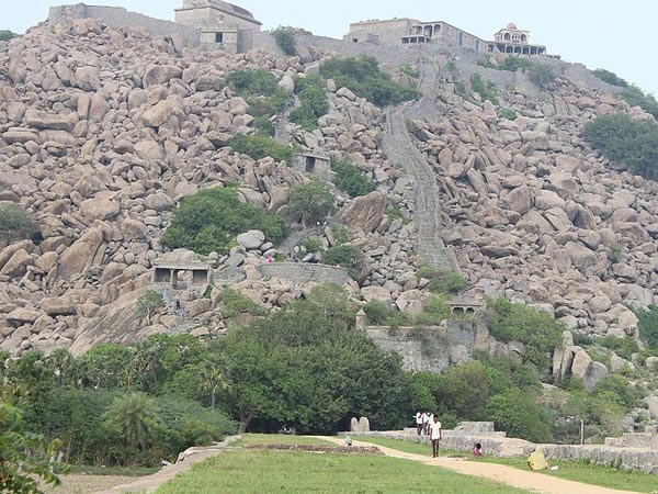 6. జింజీ ఫోర్ట్,