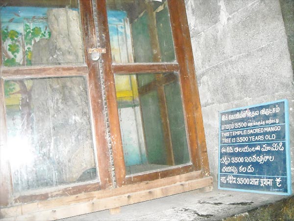 7. అద్దాల పెట్టేలో
