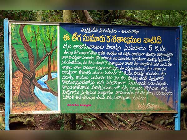 7. శివరాత్రి పర్వదినాన