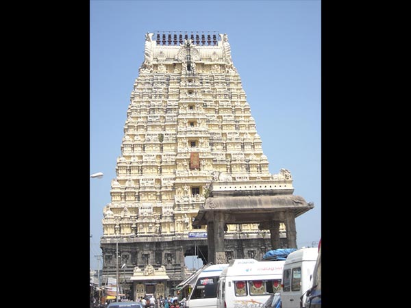 8. కొత్త చెట్టు నాటారు..