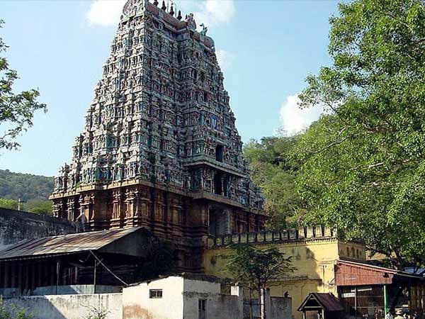 8. పెరుమాళ్ దేవాలయం
