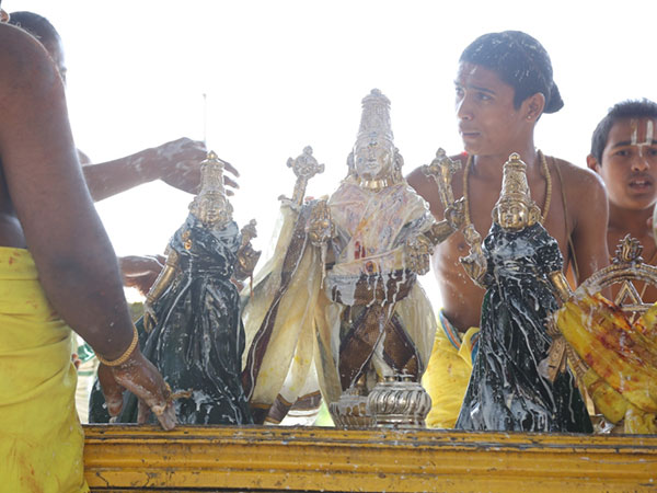 8. వెనుతిరిగి చూడకుండా