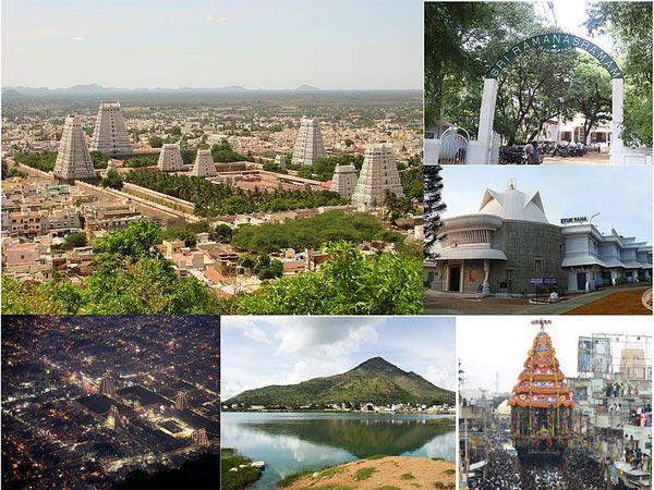 8. తిరువన్నమలై గురించి