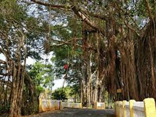 9. చోళుల కాలం నాటివి కూడా