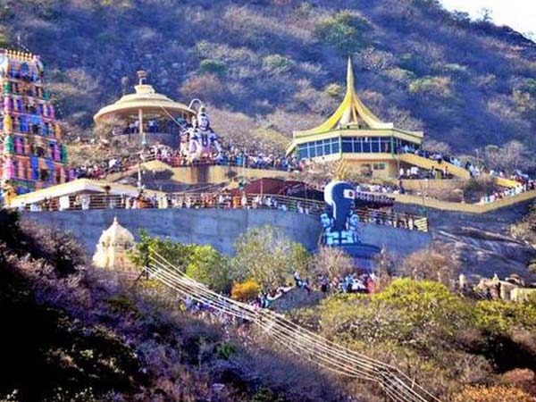 9. అందుకే కాకులు కనిపించవు