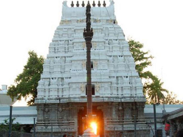 9. సూర్య కిరణాలు తాకుతాయి...