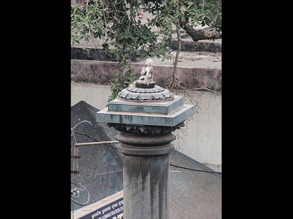 9. కోణార్క్ లోనిది