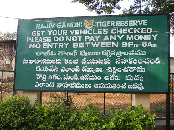 11. ఏడాది మొత్తం