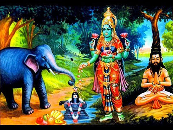 11. తొండంలో దూరి