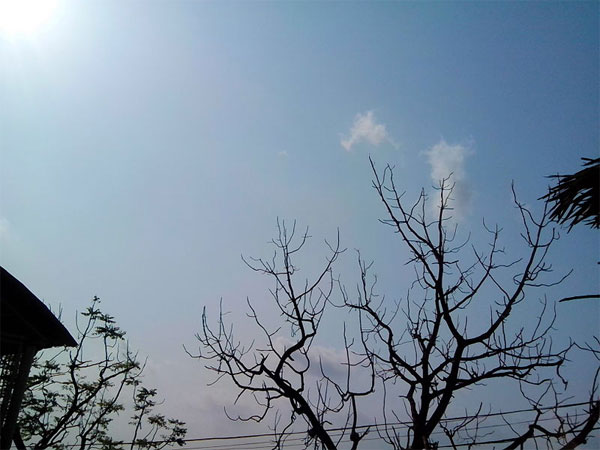 12. ఉదయం నుంచి సాయంత్రం వరకూ