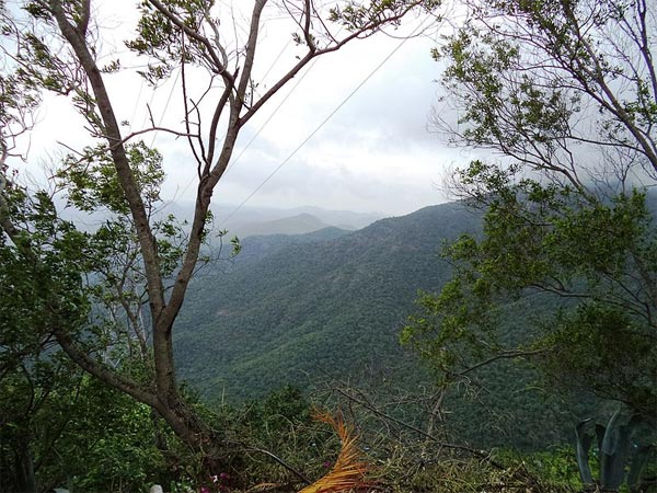 ఆ గుహ జాడ తెలుసుకుంటే...