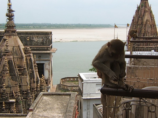12. ఒక్క క్షణం కూడా