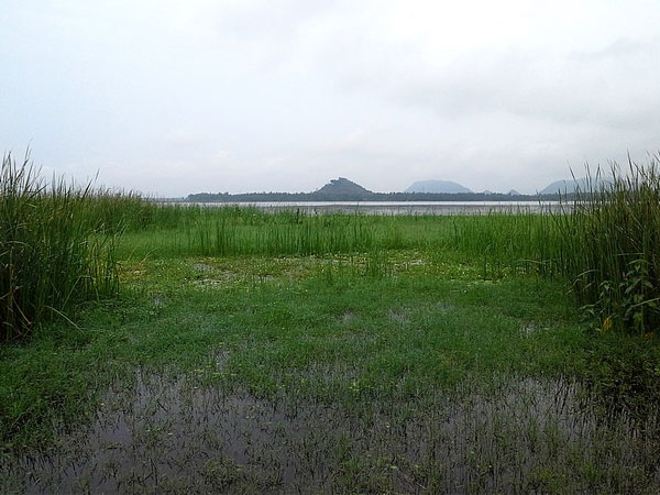 13. కొండకర్ల