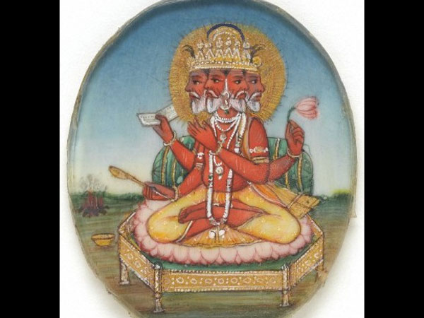 13. కొన్ని పూలను